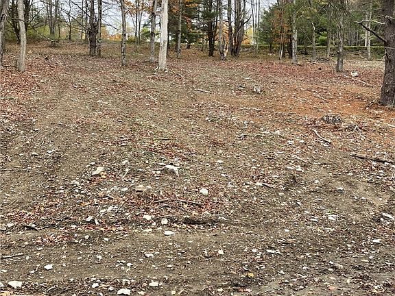 5th image of 0 Parker Rd