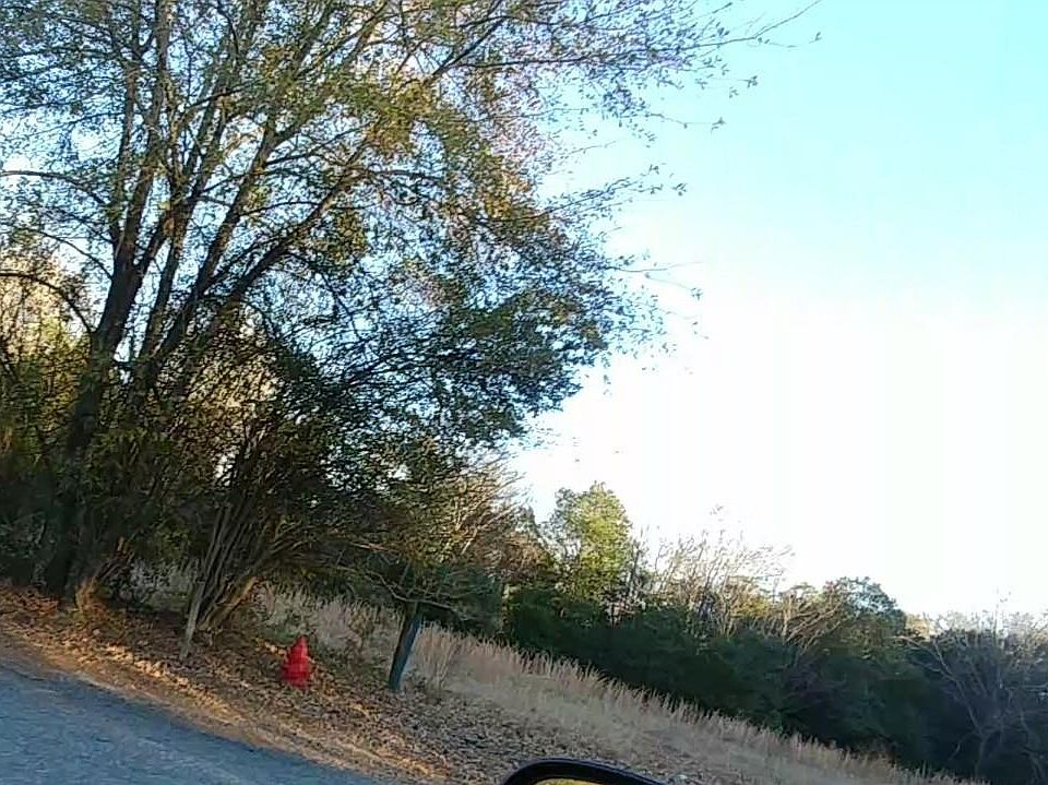2nd image of 14 Abercrombie Rd