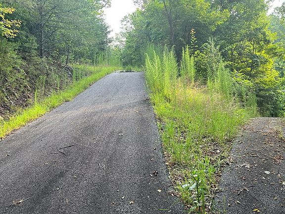3rd image of LOT 11 The Preserve