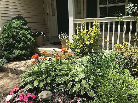 Hosta & Lilly by front door