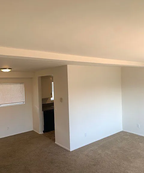 Seaview Apartments — Photo 15