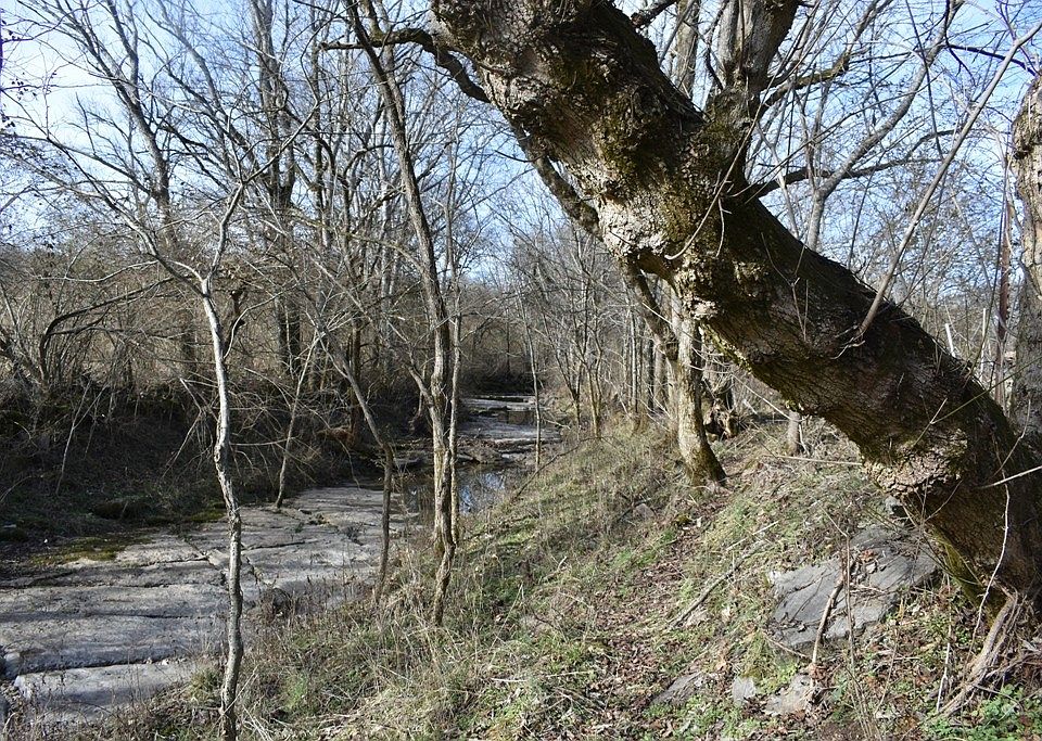2nd image of 0 Dry Fork Rd Lot 2