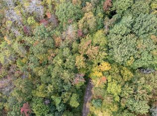 0 Chief Canesque Ln #25, Springwater, NY 14560