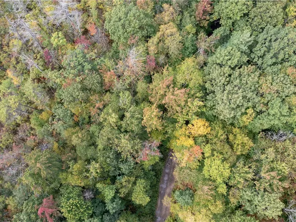 0 Chief Canesque Ln #25, Springwater, NY 14560