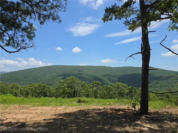 80 Round Mountain Rd, Howe, OK 74940