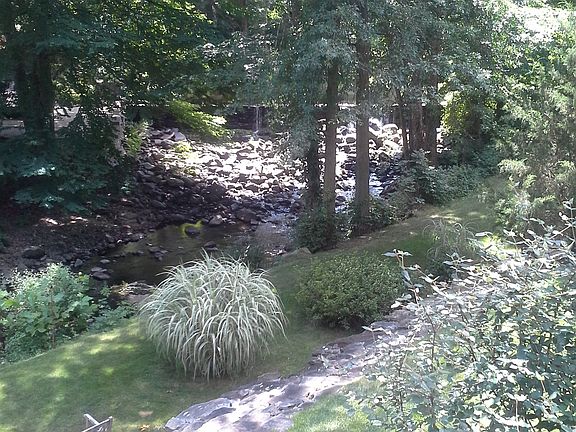 View from dining room