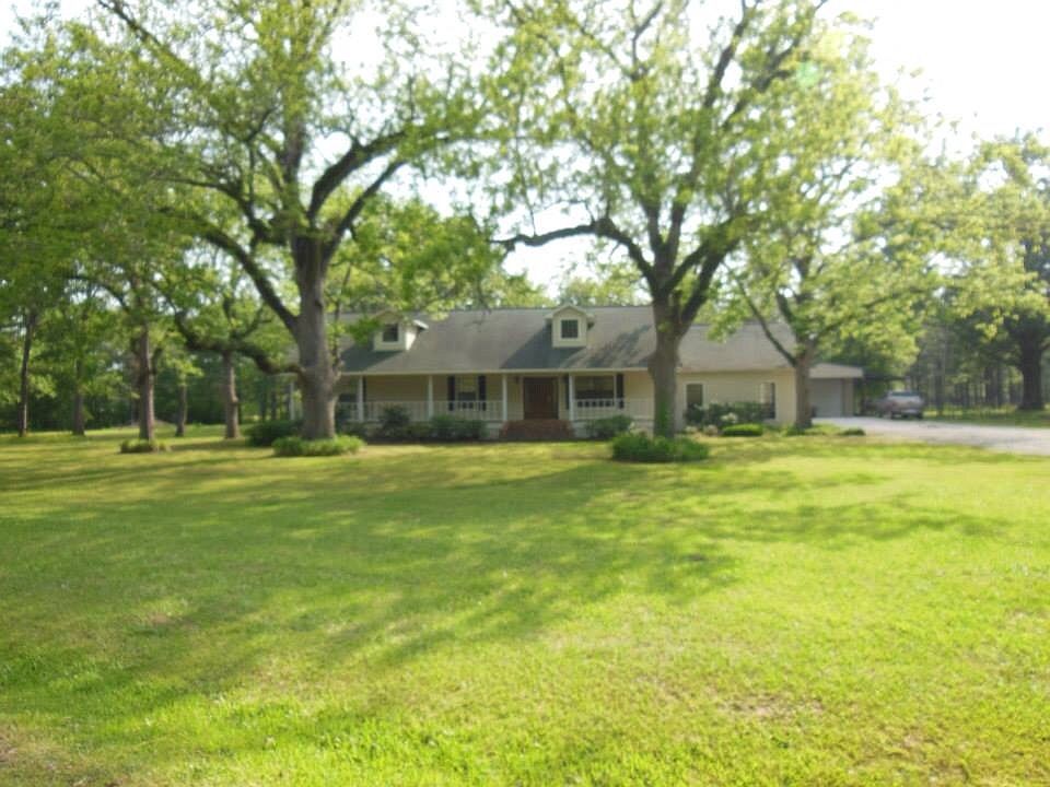 Beautiful pecan trees