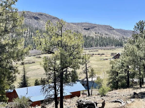 2 COUNTY ROAD 1013 -- #12, Greer, AZ 85927