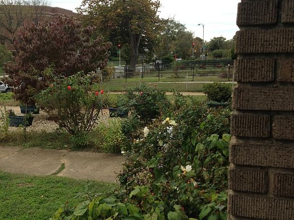 Front Porch View