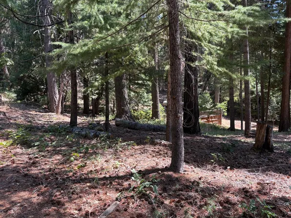 760 Alta Reservoir Rd, Alta, CA 95701