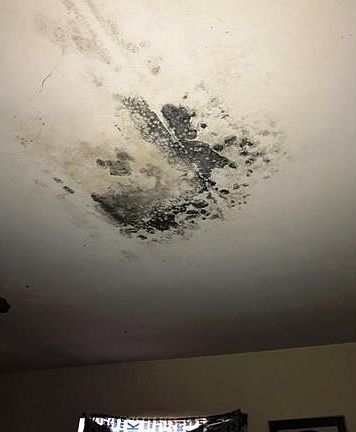 4th image of 8482 Grady Dr