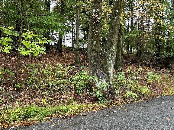2nd image of 0 Schock Rd