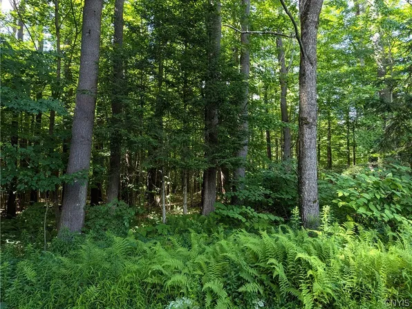 0 Number 4 Rd #9, Lowville, NY 13367