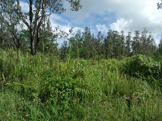 1st image of Plumeria Dr Lot 63