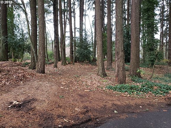 3rd image of 1000 SE 101st Ave
