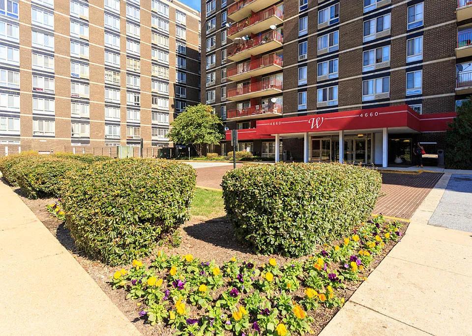The Vista