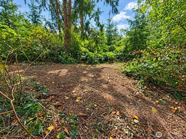 0 XX W Dry Lake Road, Camano Island, WA 98282