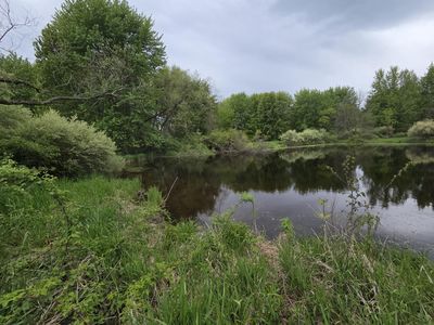 V/l Michigan 40, Paw Paw, MI, 49079
