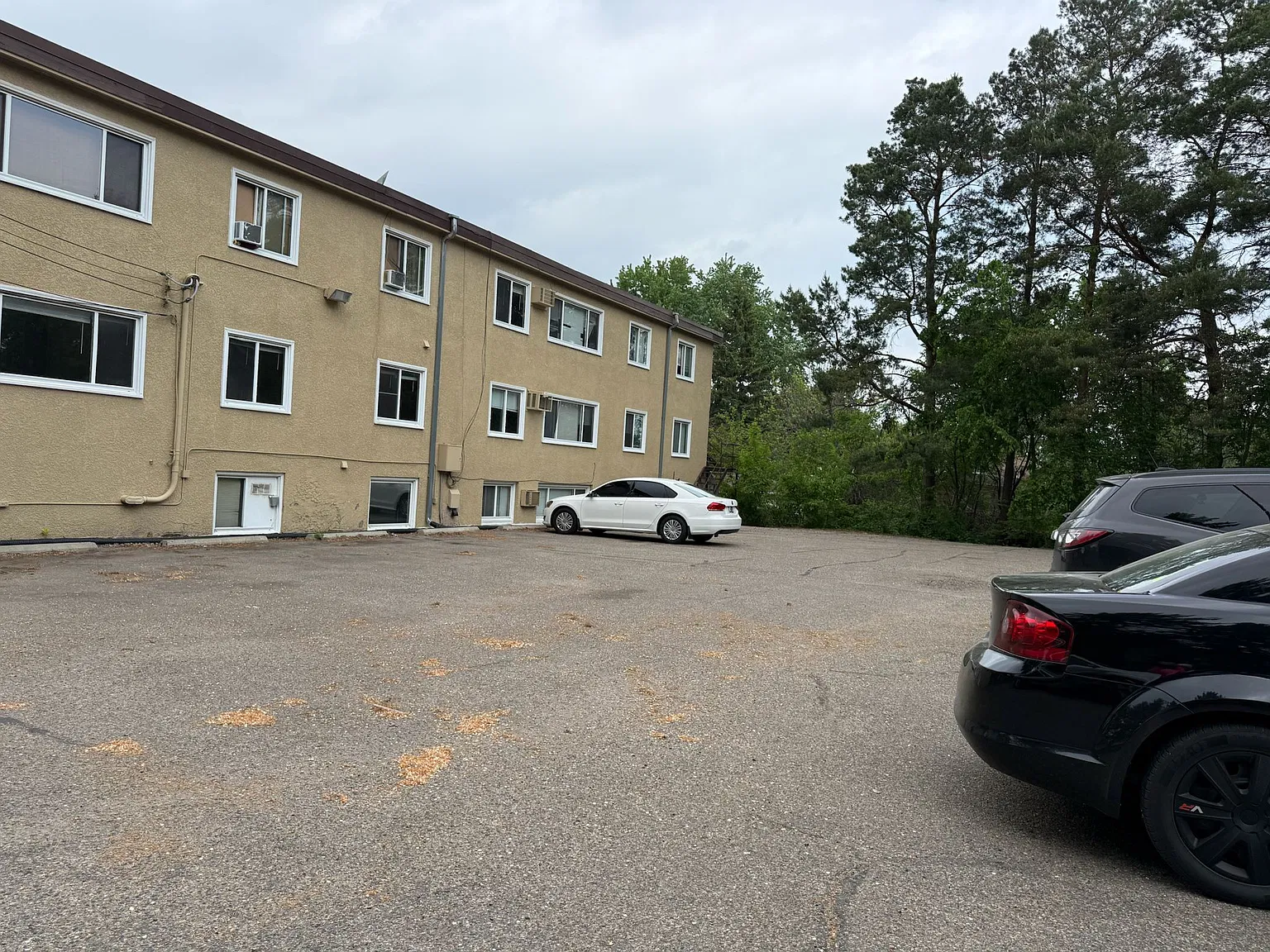 2 bed, 800 sqft, $1,375 — Photo 3