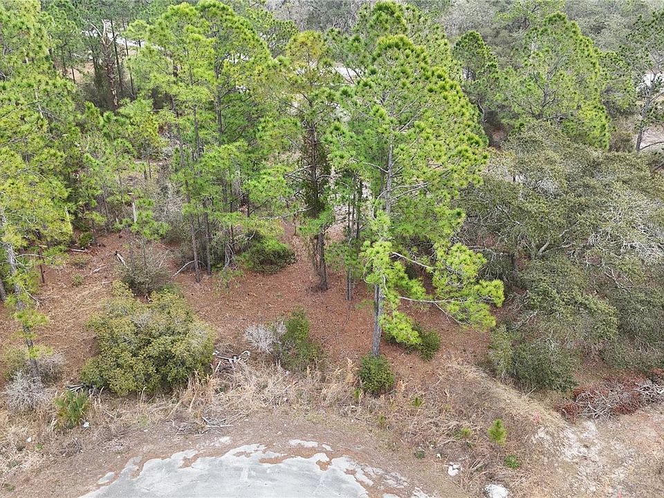 1st image of 1255 WAHNETA DRIVE