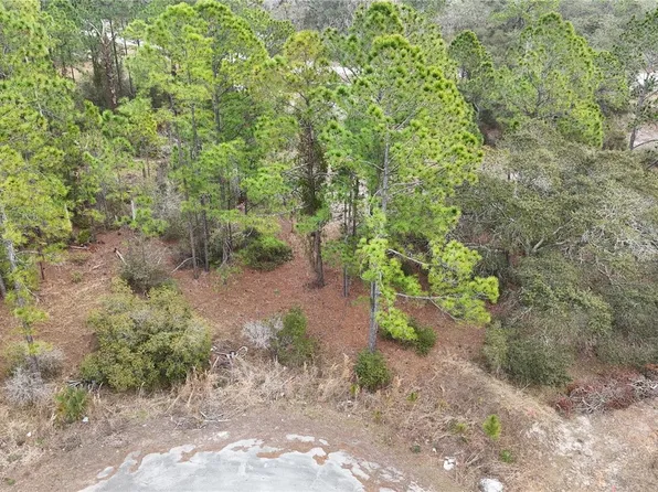 1255 Wahneta Dr, Poinciana, FL 34759