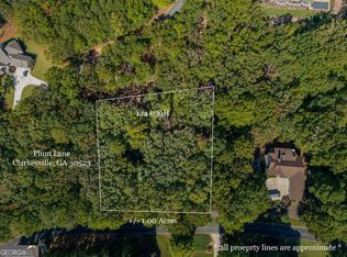 0 Plum Ln, Clarkesville, GA 30523