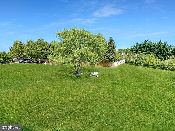 3rd image of 11838 White Pine Dr