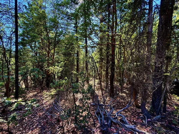 1200 Pine Forest Dr, Hayfork, CA 96041