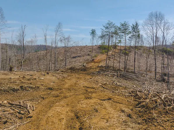 0 Timber Line Rd, Ferrum, VA 24088