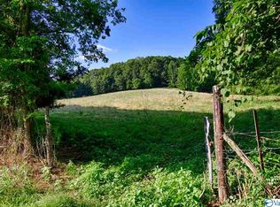 1 Shoal Creek Rd, Goodspring, TN 38460