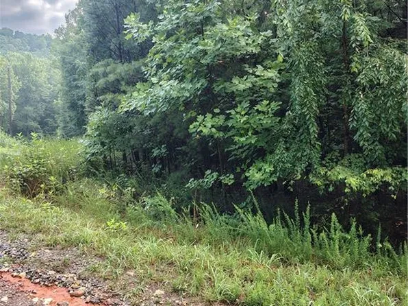 0 Moonview Ln, Cana, VA 24317
