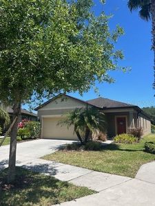 5915 Sweet Birch Dr, Riverview, FL, 33578