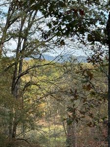 270 Cb Newton Rd, Marble, NC, 28905
