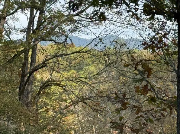 270 Cb Newton Rd, Marble, NC 28905