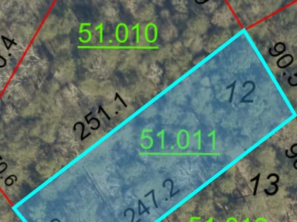 0 County Road 282 Lot 12, Cullman, AL 35057