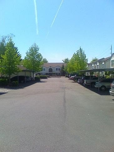 Clean and Spacious Parking Lot