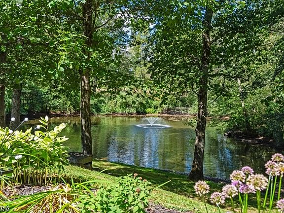 4th image of 101 Sunnybranch Rd