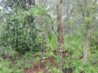 234 Jim Bryant Rd E, East Palatka, FL 32131