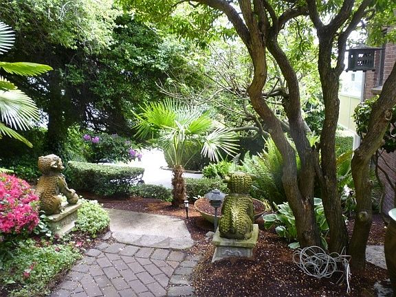 Backyard 2