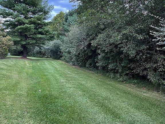 5th image of 0 Three Mile Mountain Ln