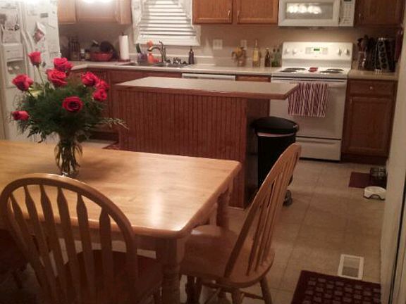 Updated Kitchen Photo 