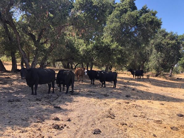 Indian Creek Ranch Carmel Valley Rd, Carmel Valley, CA 93924
