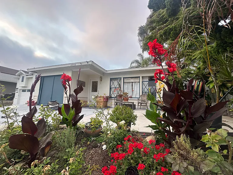 34458 Camino El Molino — Photo 21