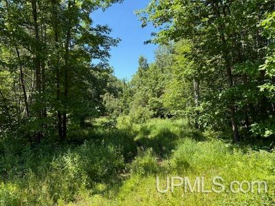 Sartoris Rd, Bessemer, MI, 49911