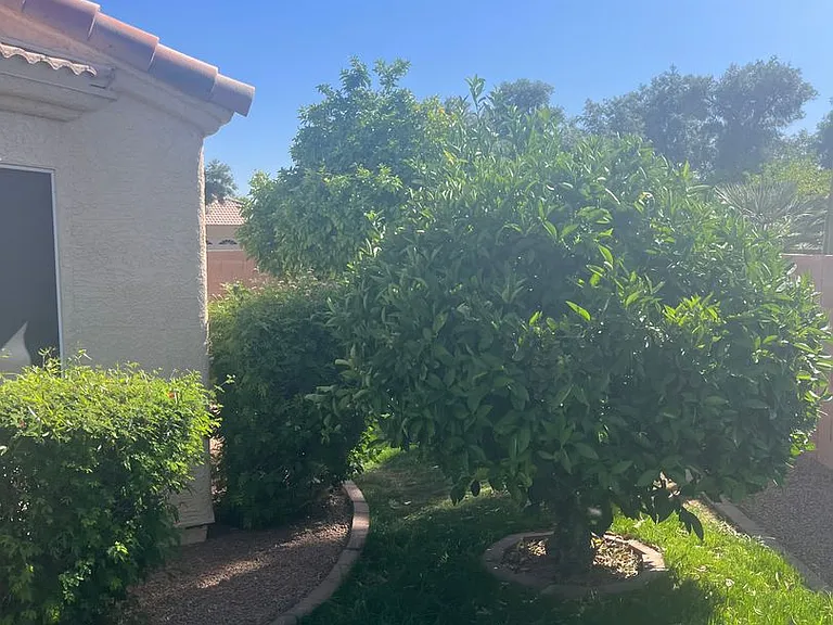 14014 W Santee Way — Photo 22