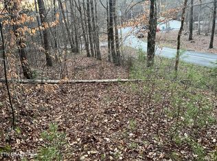 1 & 2 Alpine Dr, Sevierville, TN 37876