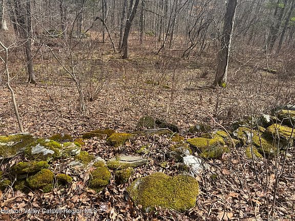 3rd image of Lot 2 Snydertown Road