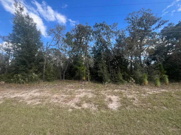 (undisclosed Address), Citrus Springs, FL 34434