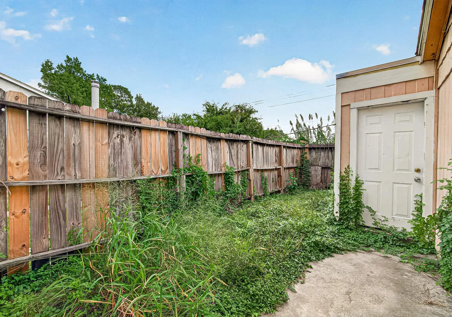 12230 Wild Pine Dr - A — Photo 1