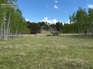 417 Aspen Way Dr, Florissant, CO 80816